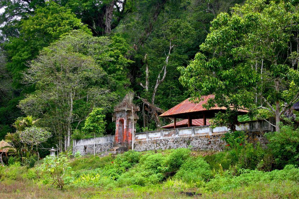 Hotel Bali Bening à Munduk Extérieur photo